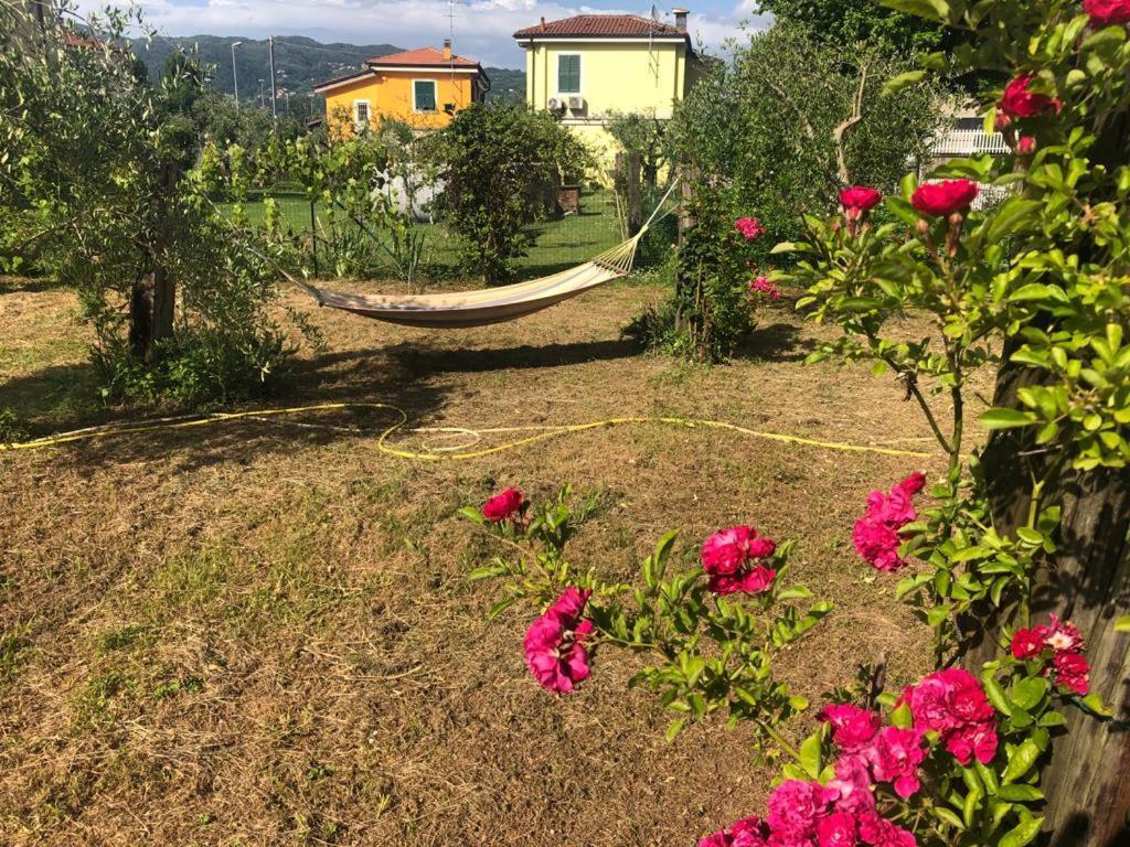 Вілла La Casa Di Ulivi Piano di Follo Екстер'єр фото